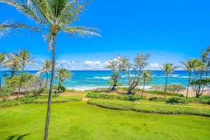 Oceanfront Views from Private Lanai, Coastal Path to Lydgate Bea