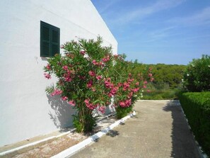 Exterior (1)