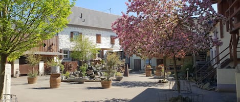 Terraço/pátio interior