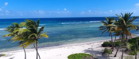 Welcome ! Pelican Cove Beach is a blue flag beach 