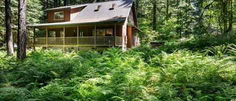 Cascade Cabin's stunning 360 degrees of surrounding greenery.