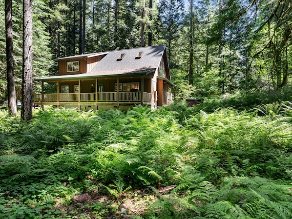Cascade Cabin's stunning 360 degrees of surrounding greenery.