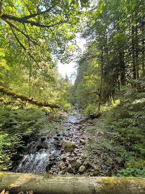 Clear Creek a few steps from the cabin