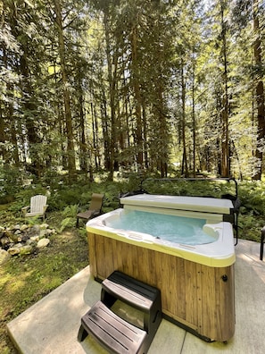 Our wooded backyard is surrounded by aged trees & endless greenery.