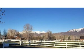 View from the front of the house.  The Wasatch mountain range & Mount Timpanogos