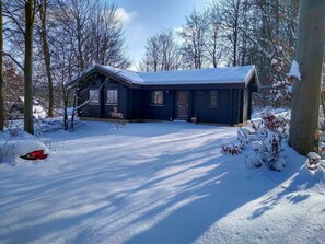 Neige, Propriété, Ciel, Plante, Bleu, Maison, Arbre, Branche, Bâtiment, Chalet