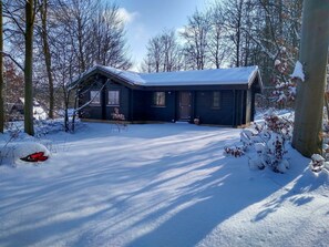 Snow, Property, Sky, Plant, Blue, House, Tree, Branch, Building, Cottage