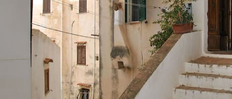 Window, Plant, Building, Houseplant, Wood, Stairs, House, Neighbourhood, Flowerpot