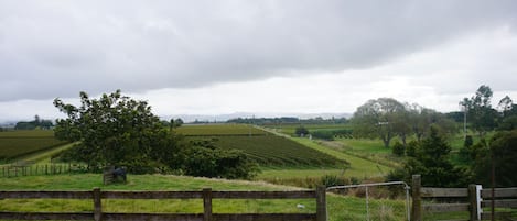 view from the deck