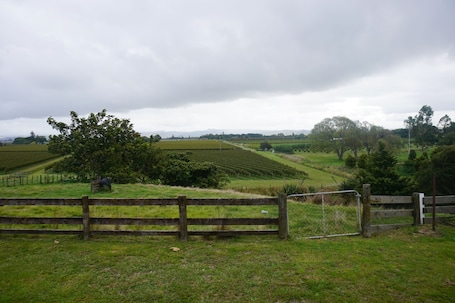 view from the deck
