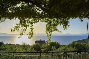 View from the garden
