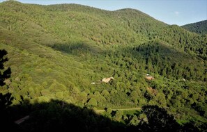 We really are secluded!