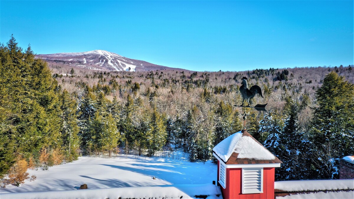 Luxury 9 BRs Stratton Estate. Total Privacy & Incredible Views! Swimming Pool
