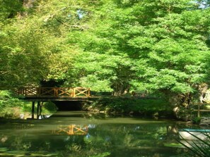 Surroundings [summer] (1-5 km)