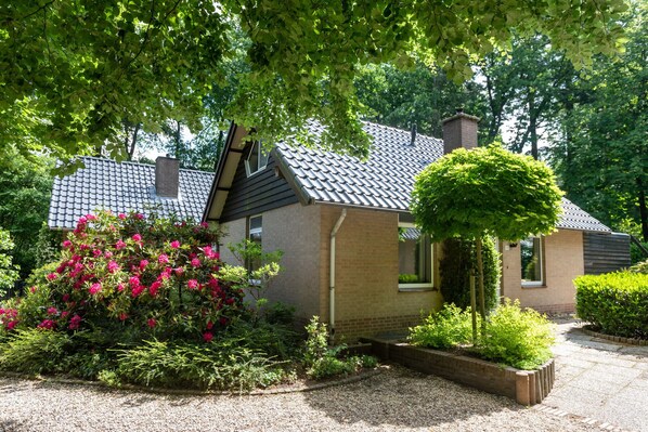 Extérieur maison de vacances [été]