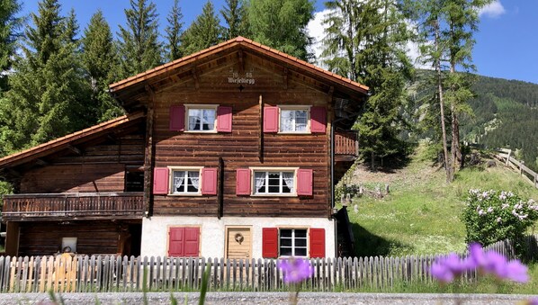 Exteriör