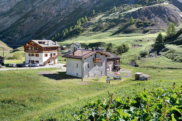 Exteriör