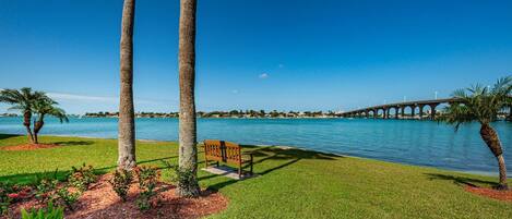 Patio View