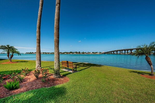 Patio View
