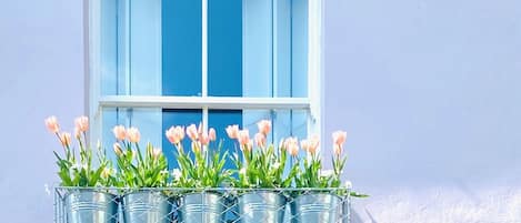 Window box to bedroom