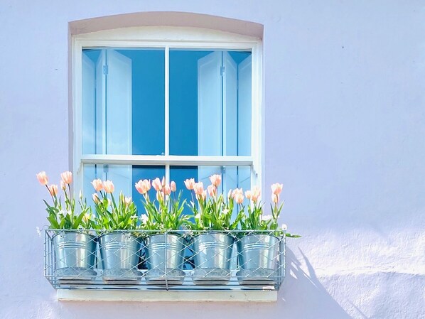 Window box to bedroom