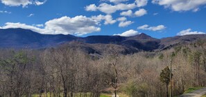 Views (1)