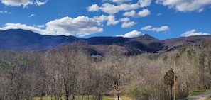 Views (1)