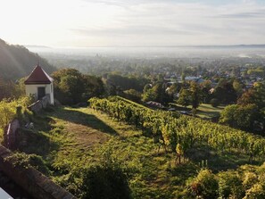 Ausblick