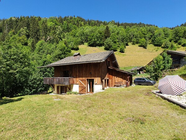 Exteriör