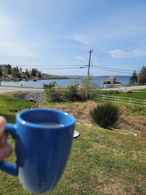 Morning coffee on the deck
