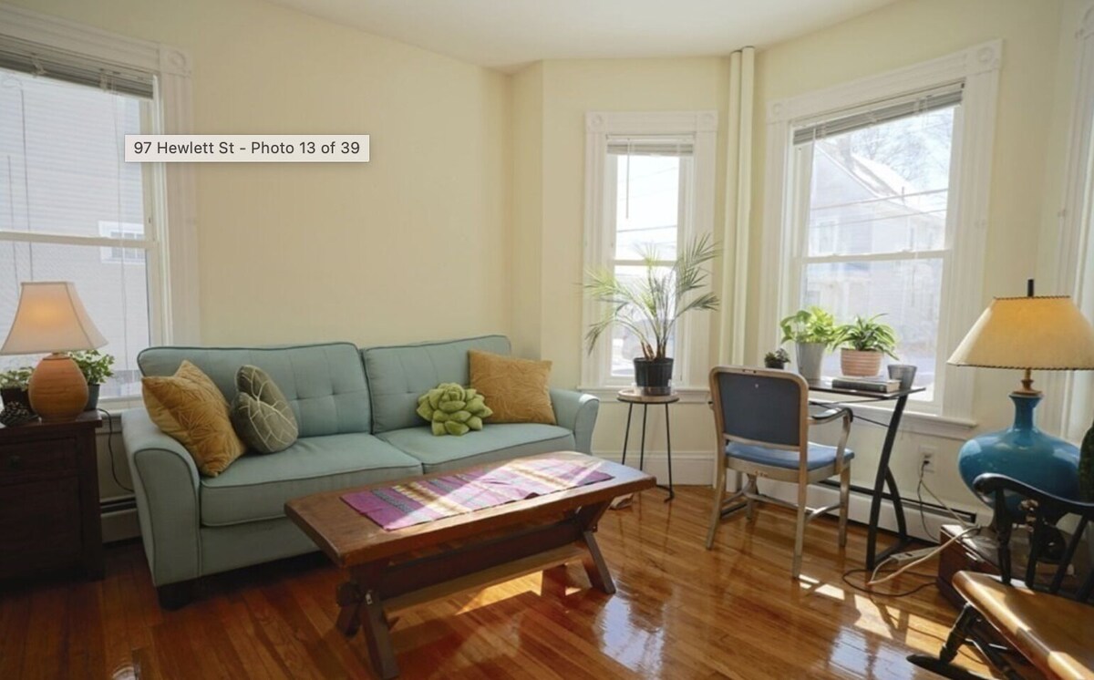 Sunny apartment located a short walk from local parks and Roslindale Village