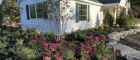 Newly-renovated home with the Sedums in bloom for the first time in Sept 2021!
