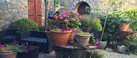 Terraza o patio