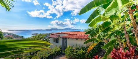 View of Alexandra Cottage from above