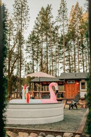 Cow Boy Pool in front of the Cabin