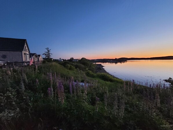 View of Halibut House and Lobster Lair at sunset.