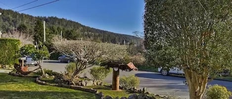 View from house towards Redwood State and National Parks