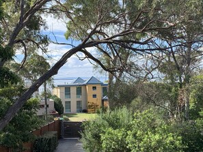 View from Deck