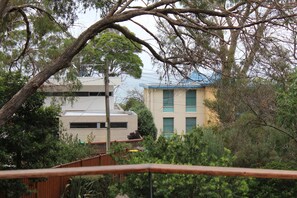 View from Deck