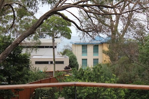 View from Deck