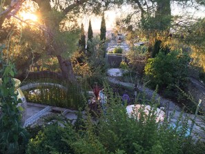 View of Front Garden