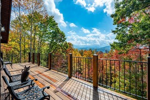 Fall foliage