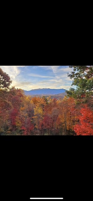 View from the deck during fall foliage 