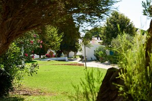 Jardins bien entretenus avec pelouse verte