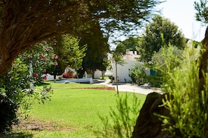 Well-kept garden with green lawn