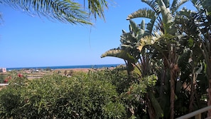 Vue sur la mer à Meia Praia