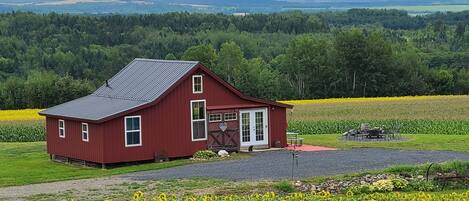 Udendørsområde