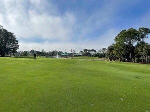 Golf