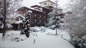 Image 2