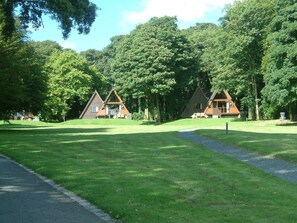 Lodges nestle within the trees